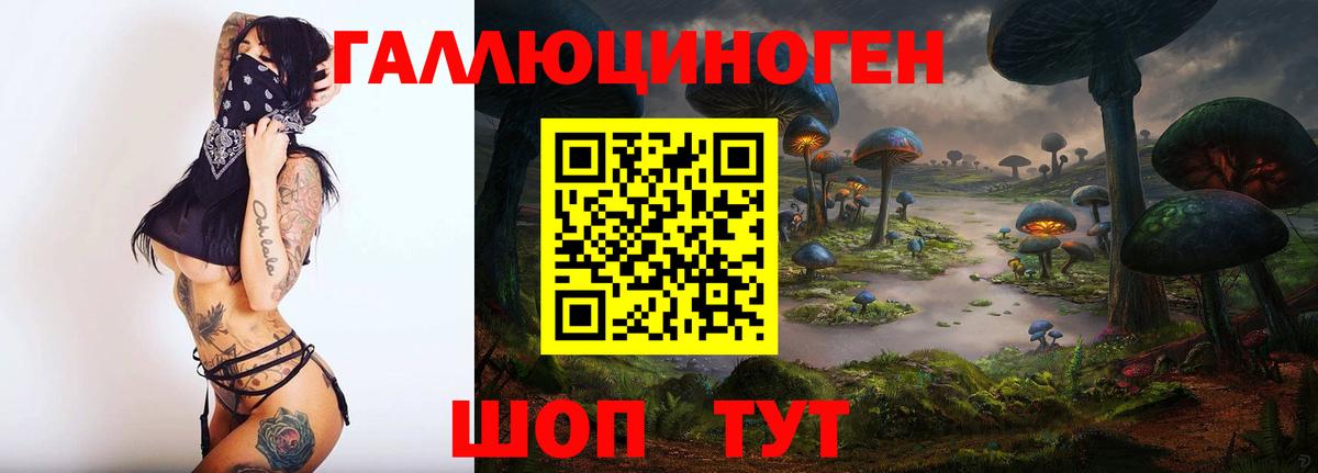 Псилоцибиновые грибы Cubensis Обнинск